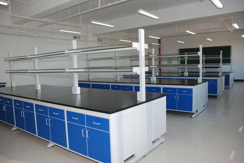小身材裝大乾坤 被忽視的實驗室家具，作用不比儀器小